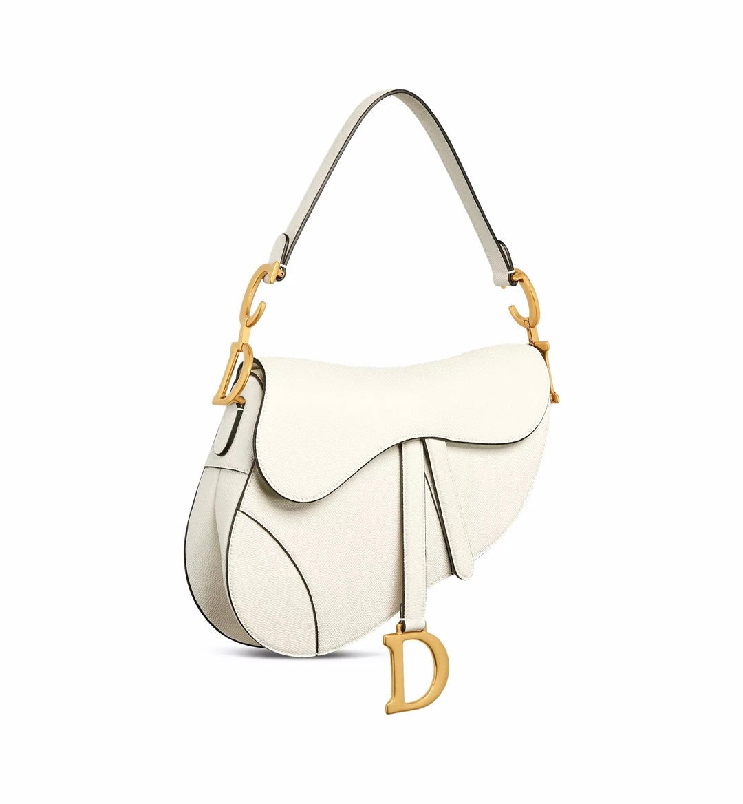 DIOR SADDLE BAG