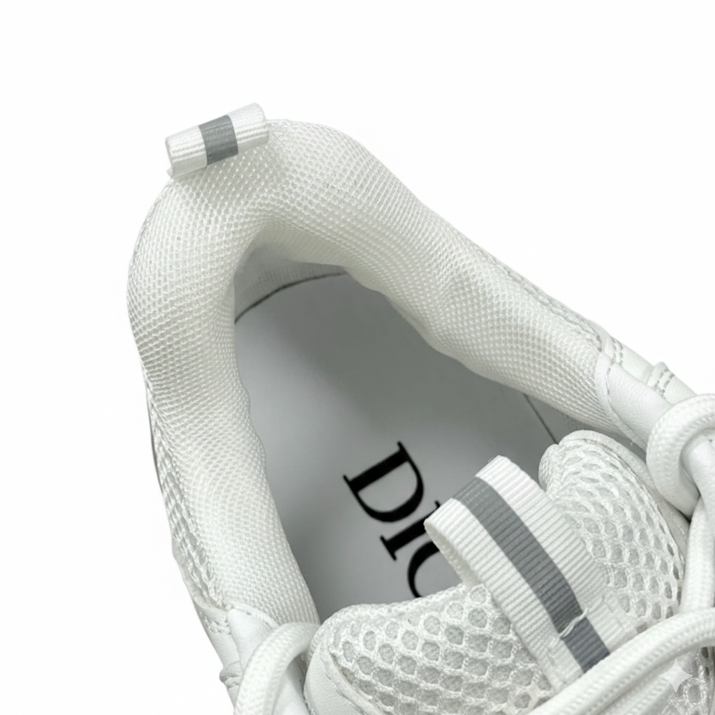 DIOR B22