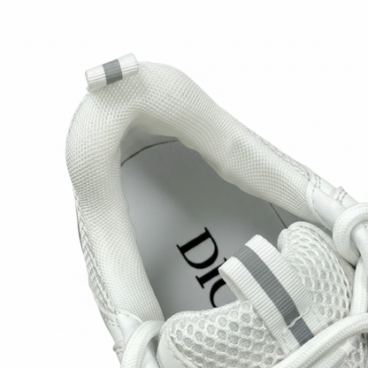 DIOR B22